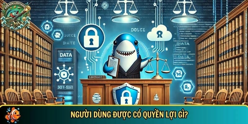 Những quyền lợi đặc biệt của người dùng tại nền tảng chúng tôi