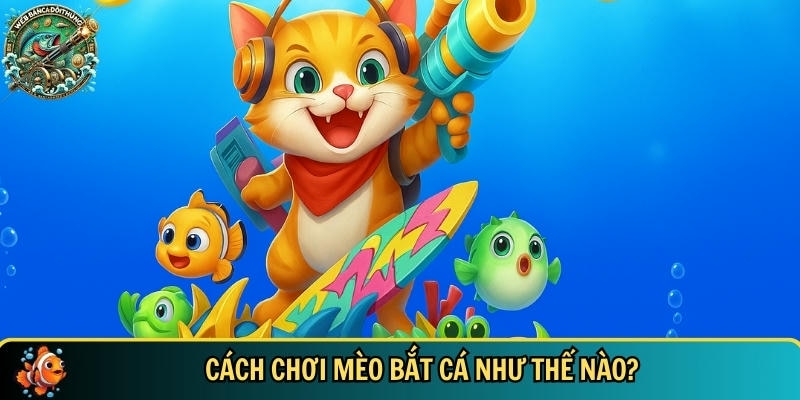 Hướng dẫn chi tiết cách chơi mèo bắt cá cho tân thủ