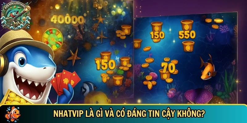 Khám phá chi tiết tổng quan về nhà cái NHATVIP