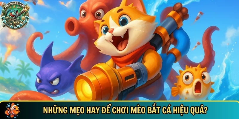 Khám phá những mẹo hay chơi mèo bắt cá cho tân thủ